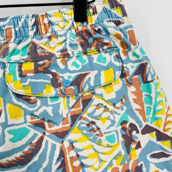 PATAGONIA WOMEN'S FUNHOGGERS COTTON SHORTS SIZE XS 4" THRIVING PLANET LAGO BLUE - Picture 5 of 12